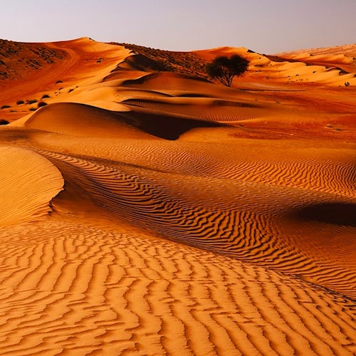 A collage of images from the Middle East and UAE