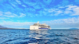 Celebrity Flora in the Galapagos