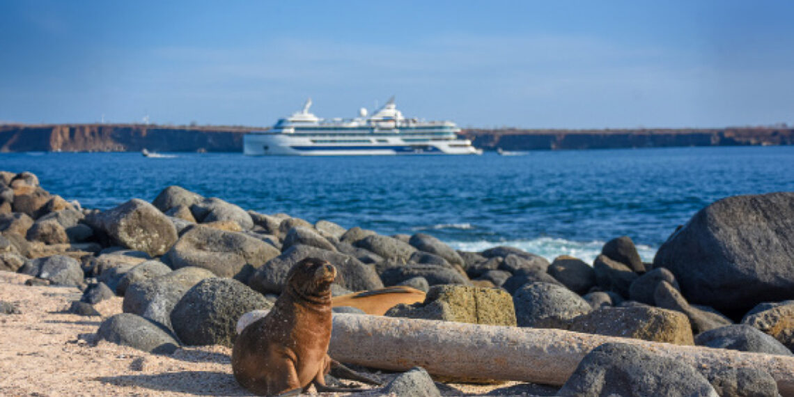 Celebrity Cruises - Galapagos Islands - Paramount Cruises Blog