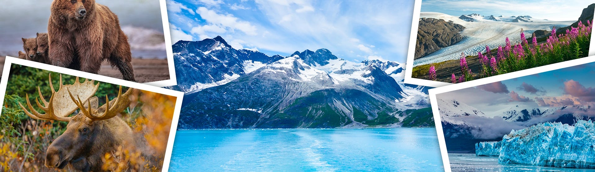A collage of images from Alaska