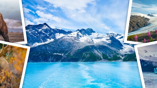 A collage of images from Alaska