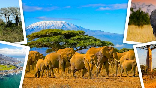 Find your next cruise from Africa.